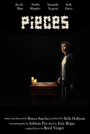 Pieces (2026) Hindi (MULTI AUDIO) – – 1080p